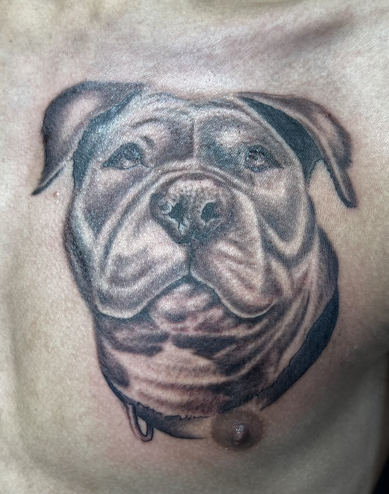 Fresh dog portrait chest realism tattoo by Joshua Cole, Las Vegas