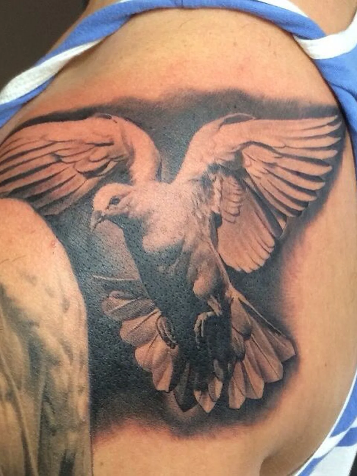 black grey eagle shoulder realism las vegas — Las Vegas tattoo portfolio at Work of Art