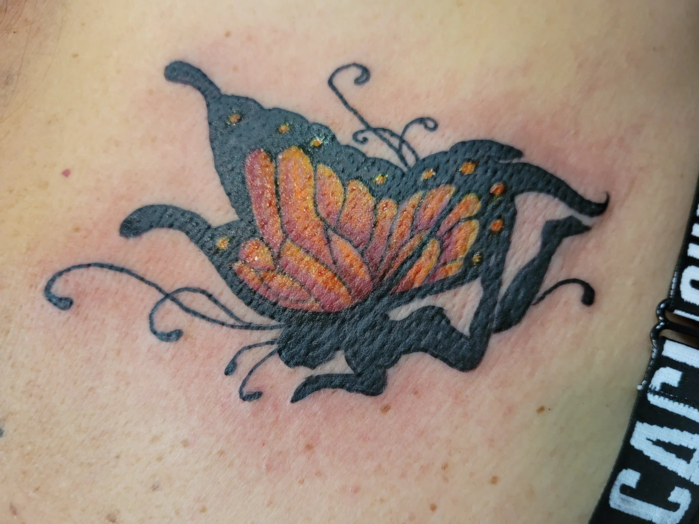 Color realism butterfly tattoo Las Vegas portfolio — Work of Art