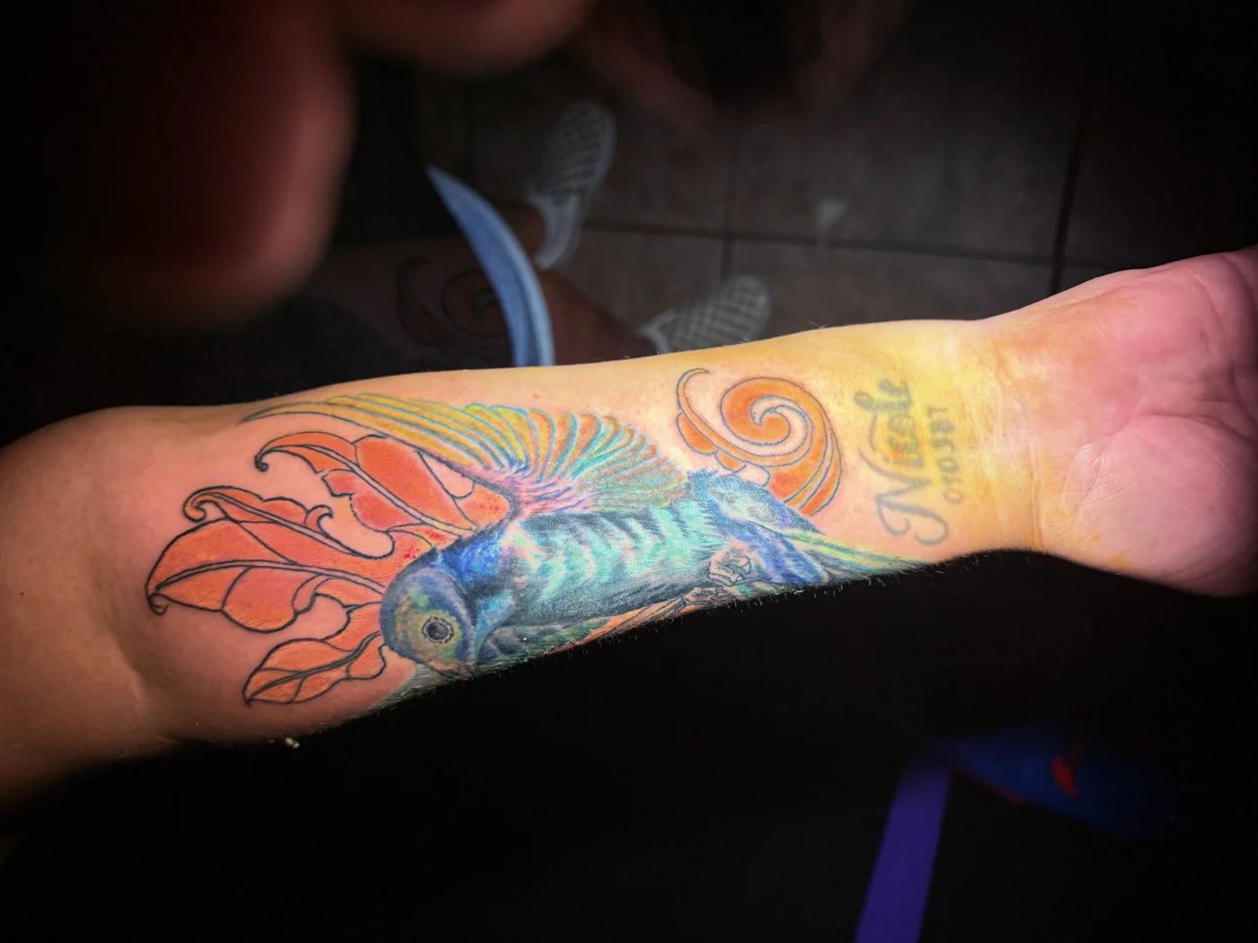 color parrot cover up forearm las vegas — Las Vegas tattoo portfolio at Work of Art
