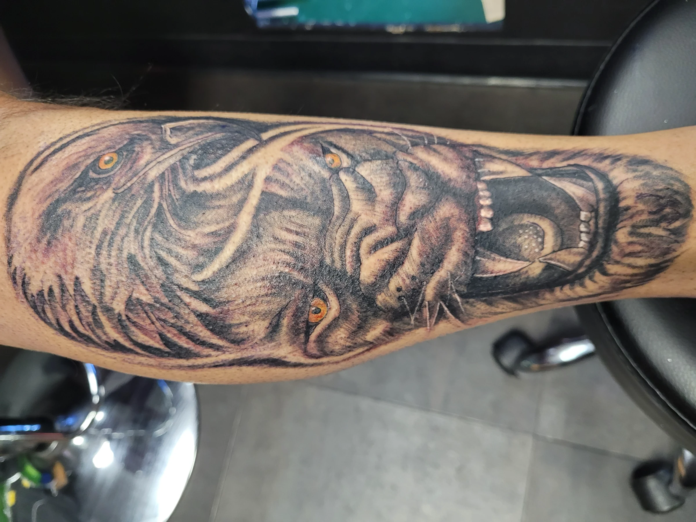 Black and grey roaring lion forearm realism tattoo — Work of Art Tattoo Las Vegas