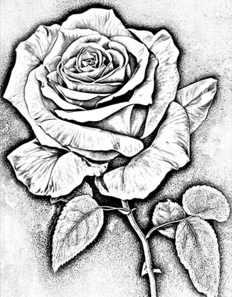 Detailed stipple-shaded blooming rose with thorned stem, black-grey tattoo flash — Joshua Cole, Work of Art Las Vegas