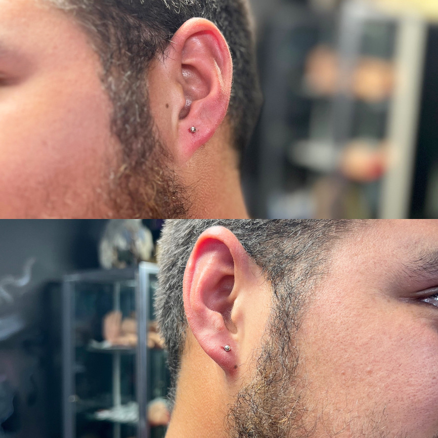 Fresh silver ball studs in both earlobes on bearded man, shown in paired profile shots — Joshua Cole, Work of Art Las Vegas